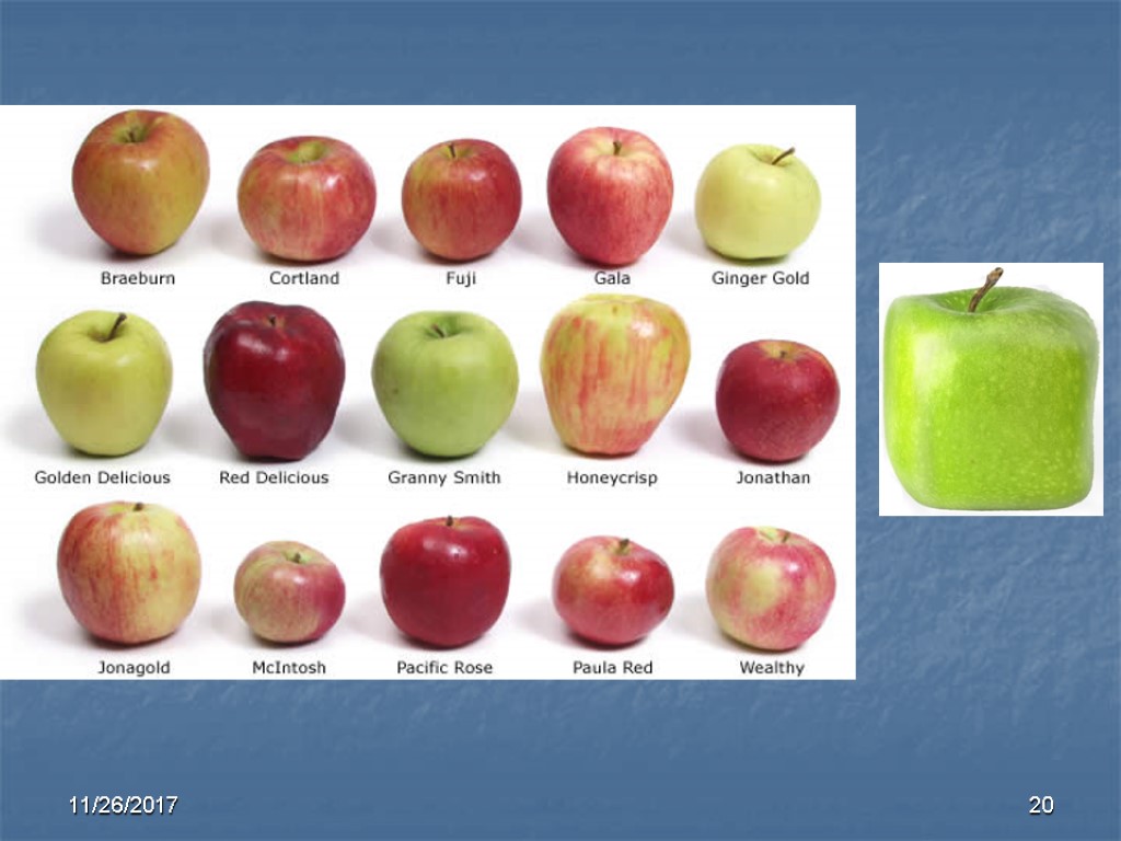 20 11/26/2017 20 11/26/2017